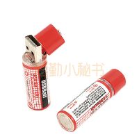 USB充电电池（5号）
