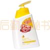 卫宝先进抗菌洗手液-柠柚清新450ml