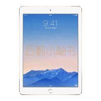 iPad Air 2 WLAN 16GB 机型 - 深空灰/银色/金色