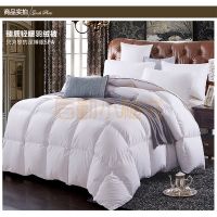 臻质轻暖羽绒被 JDYR003