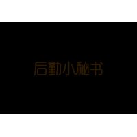 松下 有绳电熨斗 NI-V100N 粉红 球面底版大面积蒸汽大注水口